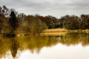 Nice walk in the afternoon