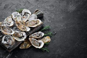 Oysters with ice and lemon on black stone background. Seafood. Top view. Free copy space.