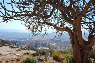 Bunkers In Barcelona, Spain