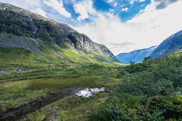 Fototapeta na wymiar Landscape and nature at the upper part of the Valldalen Valley towards Trollstigen, Sunnmore, More og Romsdal, Norway