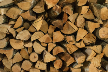 Cut wood background