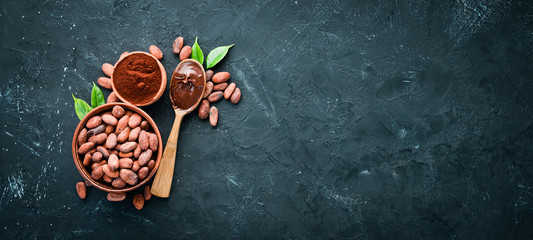 Cocoa beans, cocoa powder is dark and light. On a black background. Top view.