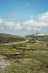 A rural road in the mountains during a spring day