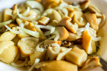 Pickled chopped mushrooms and onion in white bowl. Fermented food. Boletus