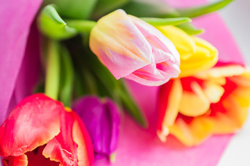 Beautiful spring bouquet of multicolored tulips. Close up, soft focus
