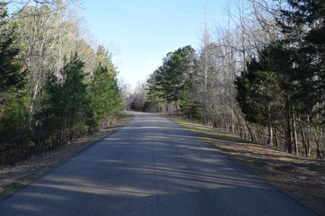 Park road in Trace State Park, Missisisppi