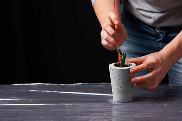 Beautiful woman planting succulent in concrete pot. Ecology concept