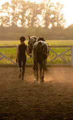 Beautiful girl jockey stand next to her horse wearing special uniform on a sky and green field...