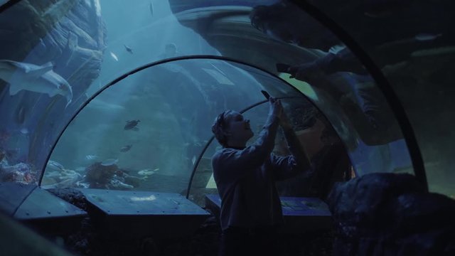 A smiling young woman records a video with her phone while fish swim above her inside a big aquatic museum.