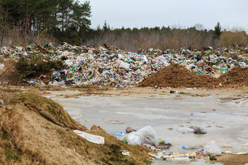 illegal landfill in the forest