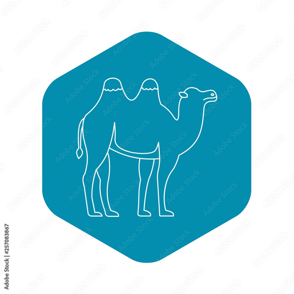 Poster bactrian camel icon. outline illustration of bactrian camel vector icon for web