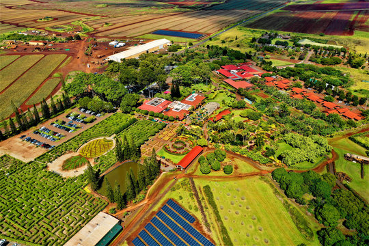 Dole Plantation Oahu - Luftbilder mit Drohne von der Dole Ananas Plantage