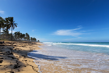 Wild caribbean beach of Atlantic ocean