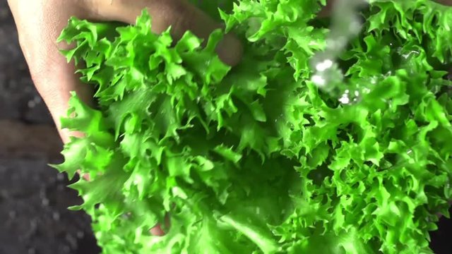 Male hands washing green lettuce leaves under water in slow motion top view