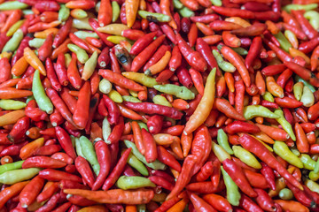 Chilli Schoten, scharf