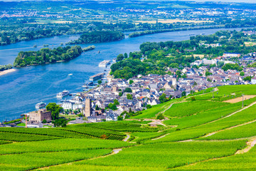 Fototapeta na wymiar Rudesheim am Rhein Vineyards, Germany