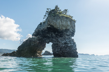 A backlit, offshore, natural arch in a rock stack with trees growing on top, framing another small...