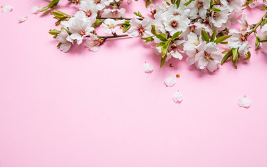Obraz na płótnie Canvas Almond blossoms bouquet on pink background, copy space