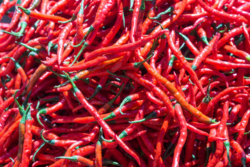 Chilli Schoten, scharf