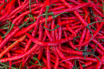 Chilli Schoten, scharf