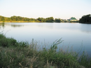 little lake in the forest