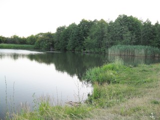 village in the forest