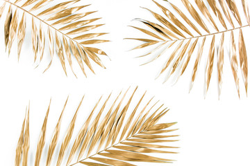 Gold tropical palm leaves on white background. Flat lay, top view minimal concept.
