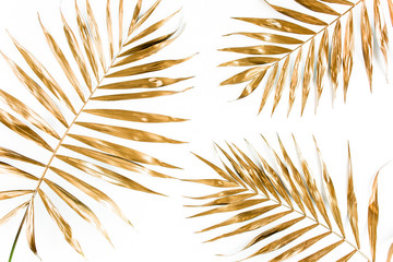 Fototapeta premium Złote palmy tropikalne pozostawia na białym tle. Minimalna koncepcja płaskiego lay, widoku z góry.