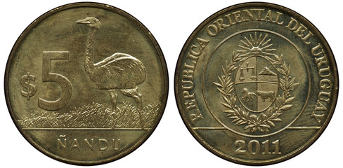 Uruguay Uruguayan coin 5 five pesos 2011, rhea bird in grass, denomination at left, arms, oval shield with designs flanked by sprigs, radiant sun above, date below,