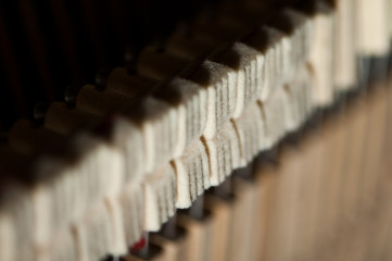 Closeup of grooves on piano dampers