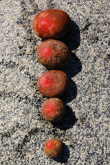 exclamation mark from a round smooth pebble painted red, a warning sign, a danger to travelers in the mountains or on the road