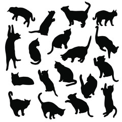 Set vector silhouettes of the cat, different poses, standing, jumping and sitting,  black color, isolated on white background