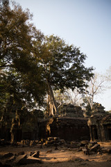 angkor
