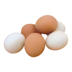 Realistic vector eggs