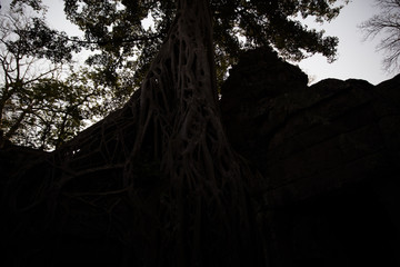 templo vietnam