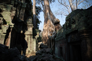 Fototapeta na wymiar templo vietnam