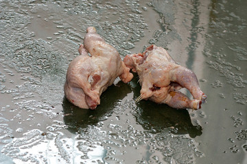 two substandard chicken carcasses on a metal pan