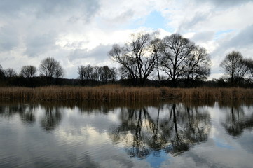 Fototapeta na wymiar Spring on the pond.