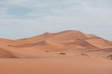 Fototapeta na wymiar The endless dunes of the Sahara in Morocco.