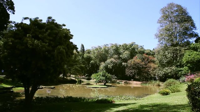 Panoramic view of Royal Botanical King Gardens and museum, Peradeniya, Sri Lanka, locates near Kandy
