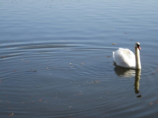 Fasanenschlösschen bei Moritzburg