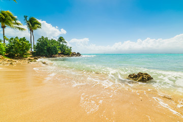 Golden sand in Bas du Fort shore in Guadeloupe
