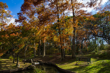 秋・ベンチのある水辺の紅葉の風景