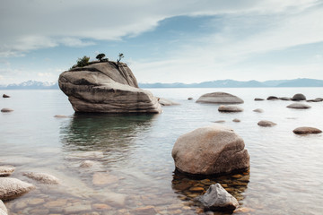 Bonsai Rock Lake Tahoe