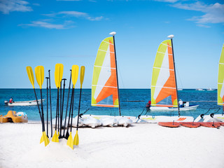 Boards and paddles on sandy beach with windsurfs in the sea
