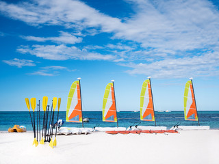 Boards and paddles on sandy beach with windsurfs in the sea