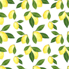 Citrus seamless pattern made of lemon and leaves, hand drawn botanical illustration isolated on white.