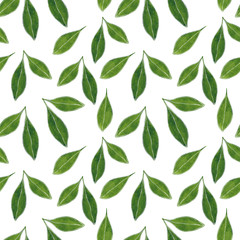 Citrus seamless pattern made of lemon leaves, hand drawn botanical illustration isolated on white.