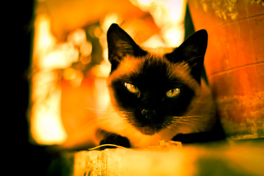 Atenea