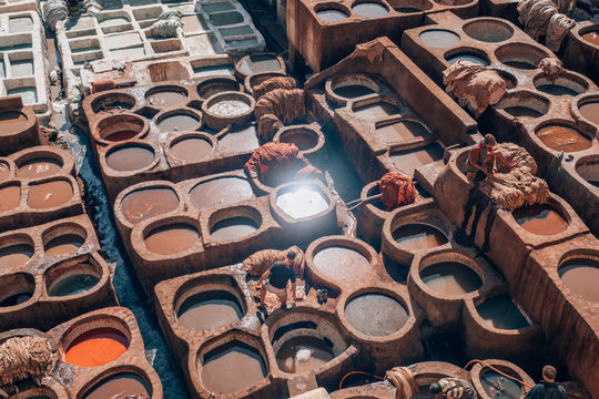 famous tannery in fez, morocco